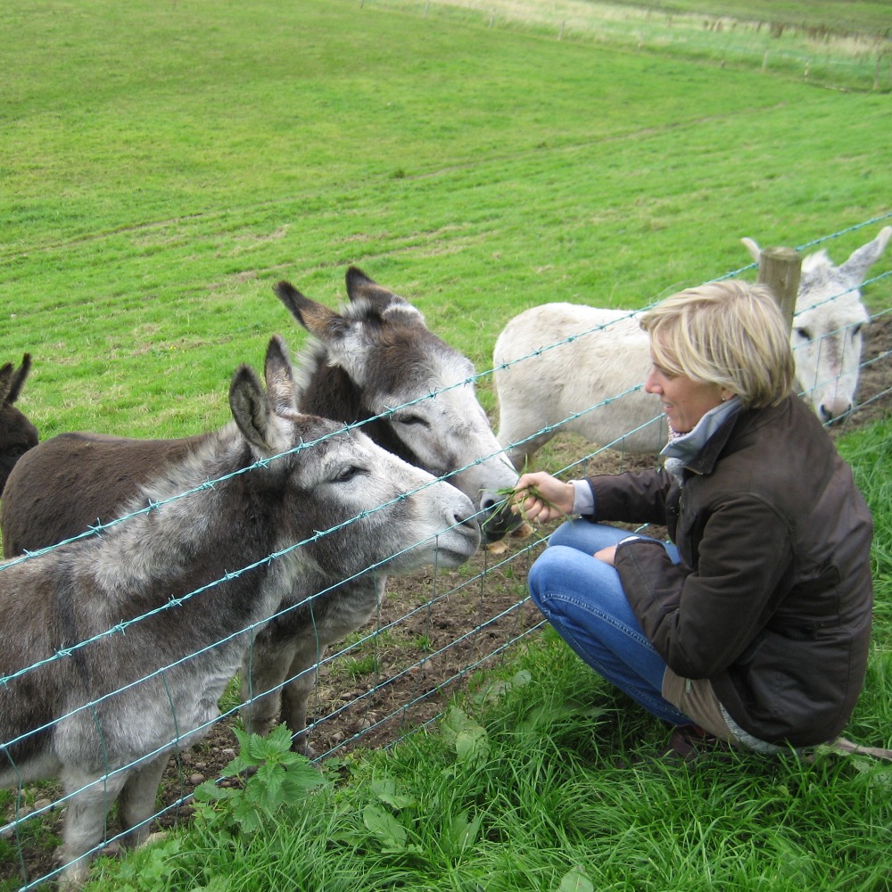 Meet your Posher, Sabine